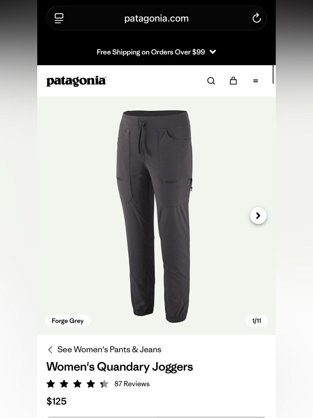 Patagonia Women's Quandary Joggers LARGE Forge Grey